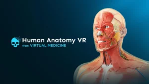 Human Anatomy VR